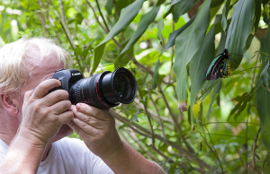 A photographer taking a photo of a butterfly